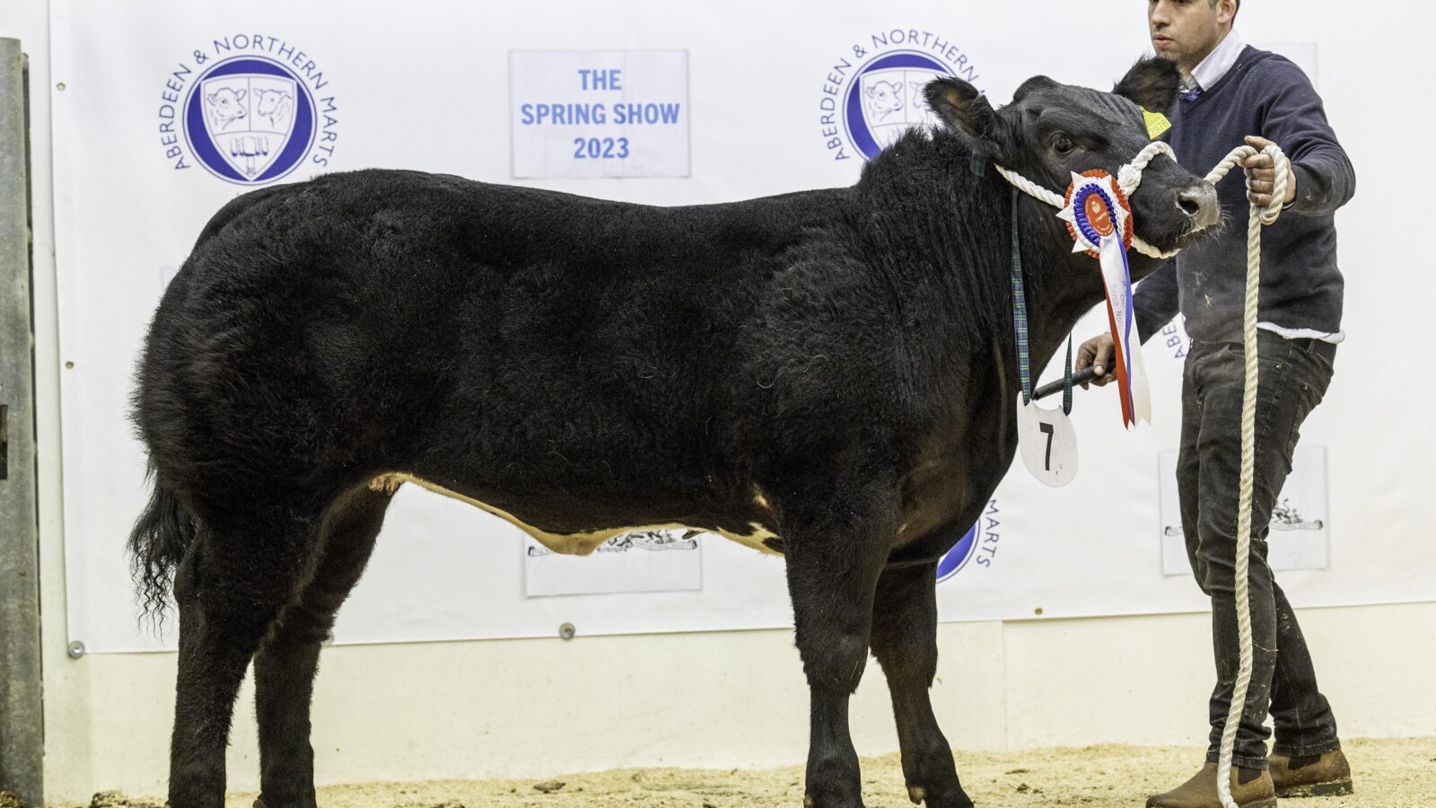 Final livestock entries confirmed ahead of annual RNAS Spring Show