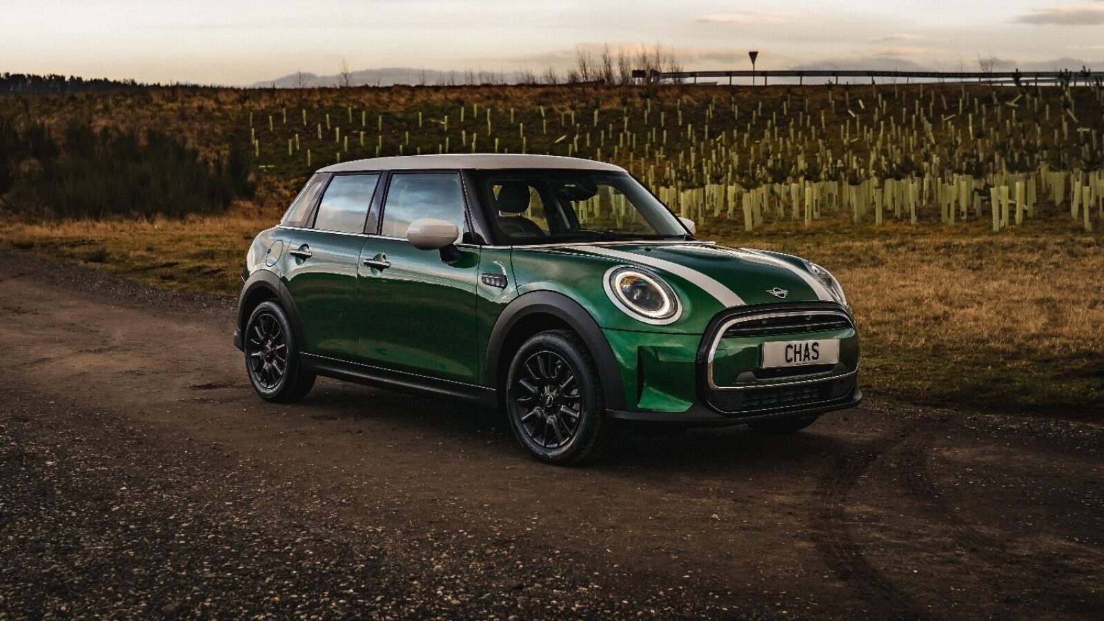 Win a Mini with CHAS